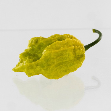 Golden Reaper Pepper Seeds - The Pepper Pantry (Formerly Marie Sharp's)